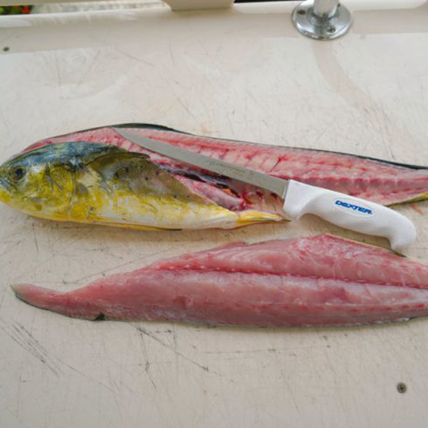 The Dexter SG133-8EG 8” narrow fillet knife is one of our most popular fillet knives. This 8″ fillet can handle most fish with ease. It’s ultra-sharp out of the package and with just the right amount of flex to glide over the bones. www.moralepatches.com.au