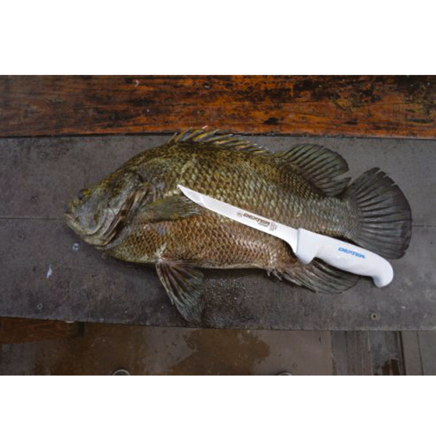 The Dexter SG136FF 6” wide fillet knife is one of our most popular fillet knives. This 6″ wide fillet can handle small to large fish with ease. It’s ultra-sharp out of the package and with just the right amount of flex to glide over the bones. www.moralepatches.com.au