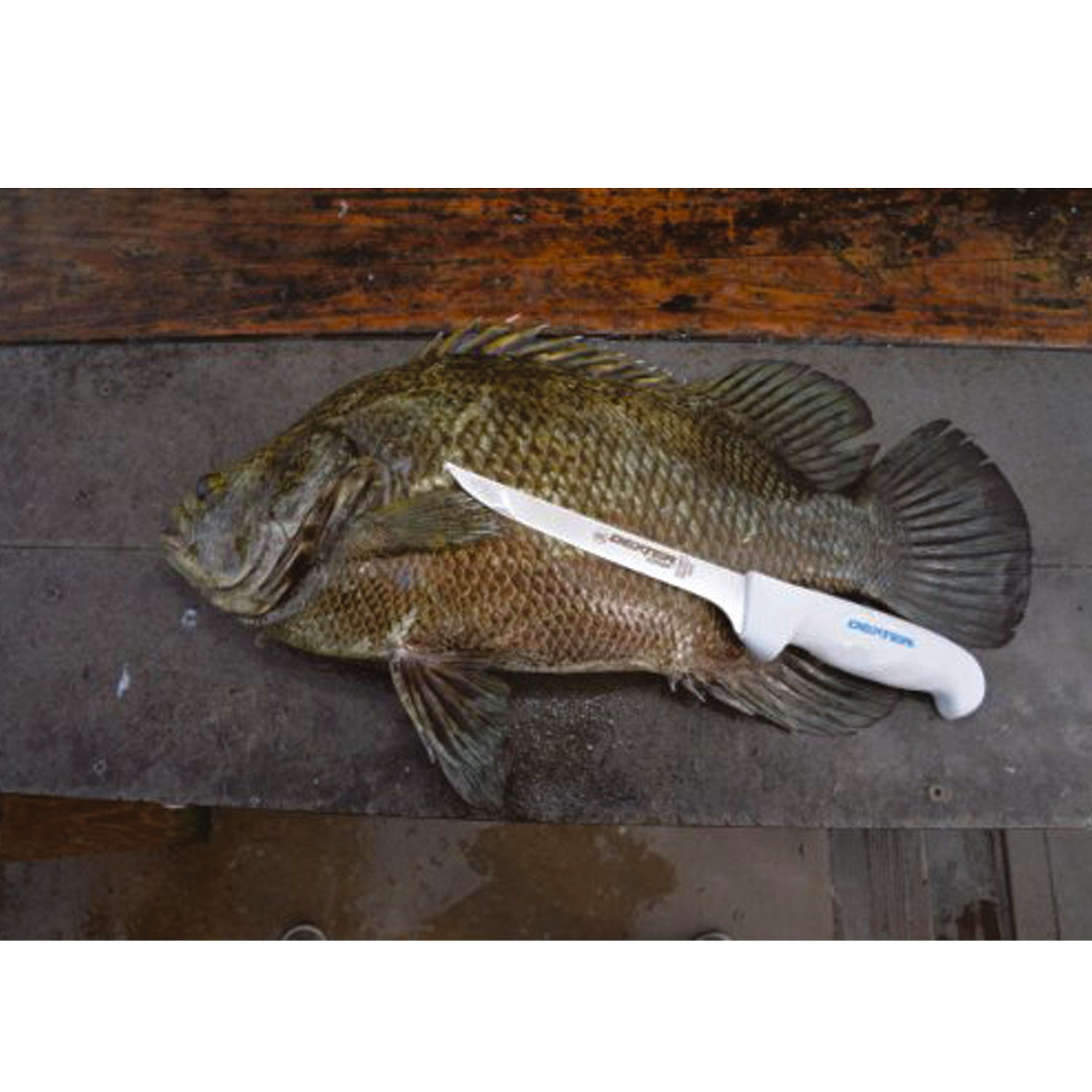 The Dexter SG136FF 6” wide fillet knife is one of our most popular fillet knives. This 6″ wide fillet can handle small to large fish with ease. It’s ultra-sharp out of the package and with just the right amount of flex to glide over the bones. www.moralepatches.com.au