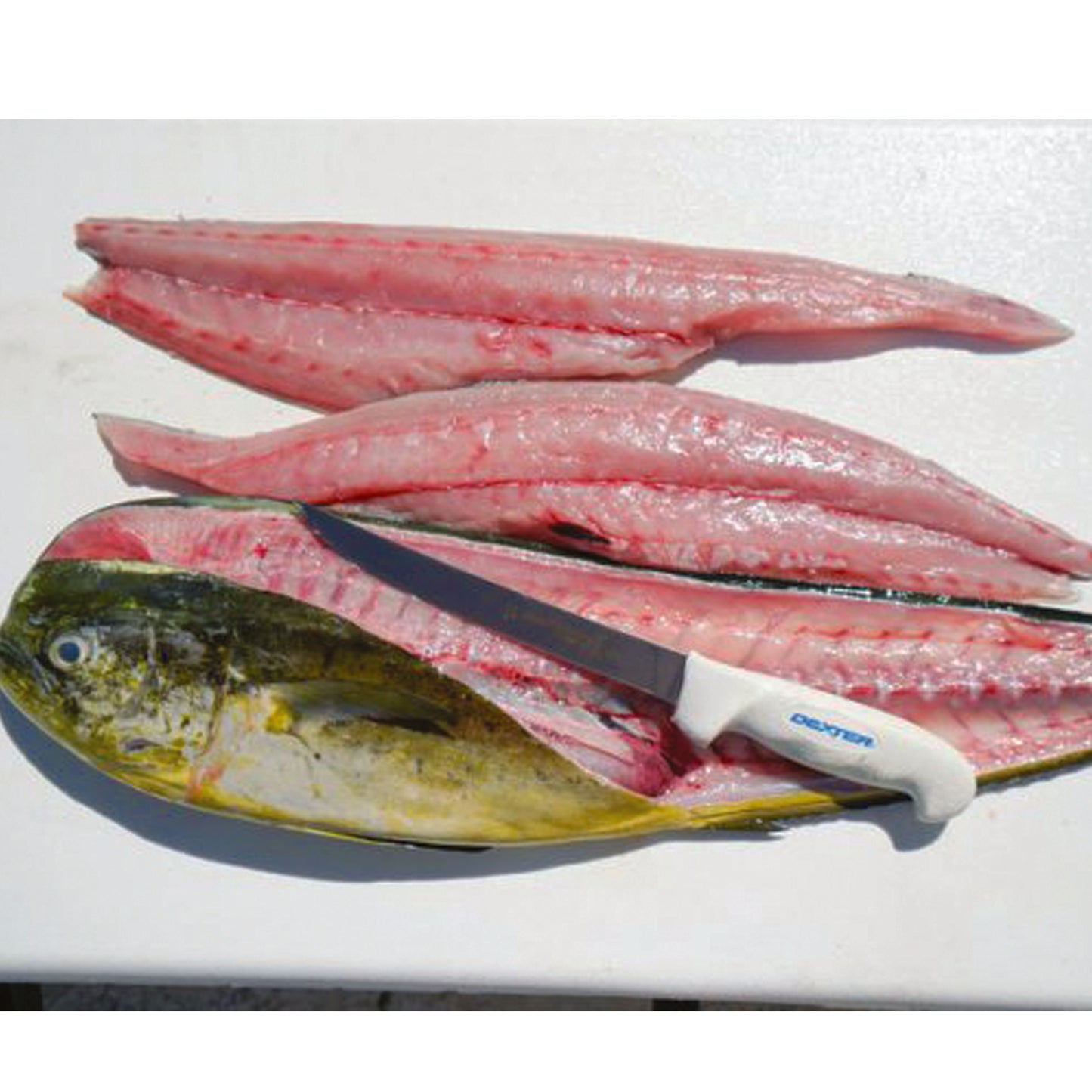 The Dexter SG138EG 8” wide fillet knife makes filleting and skinning your fish easy. It’s ultra-sharp out of the package with a wide, stiff blade to glide over the bones. www.moralepatches.com.au